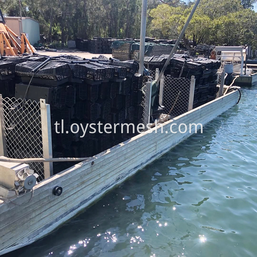 Oyster Cradle Rolling Culture Usage (1)